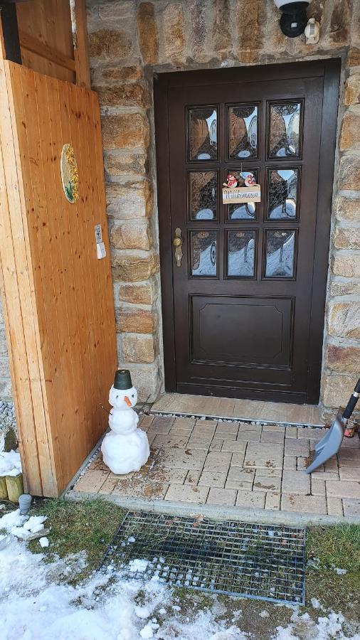 Apartament Waldhufenidyll Koenigswalde Im Erzgebirge Konigswalde Zewnętrze zdjęcie