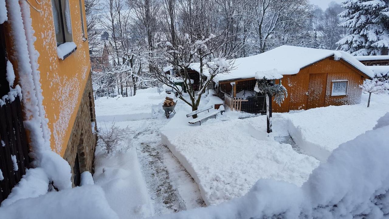 Apartament Waldhufenidyll Koenigswalde Im Erzgebirge Konigswalde Zewnętrze zdjęcie