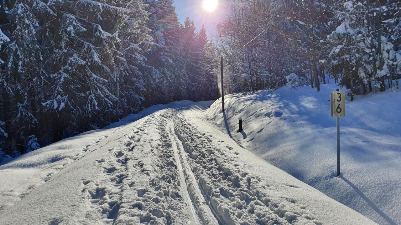 Apartament Waldhufenidyll Koenigswalde Im Erzgebirge Konigswalde Zewnętrze zdjęcie